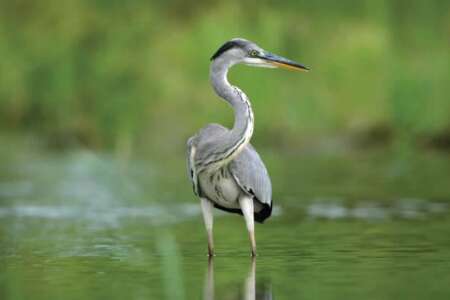 African Safari Tours Company In Kenya | Kenya Safari Tours - Diwaka Tours