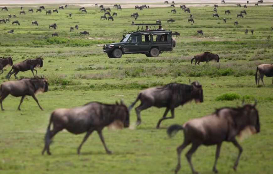 6 Days | Kicheche Mara Wilderness Safari