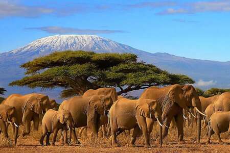 10 days | spectacular kenya - 