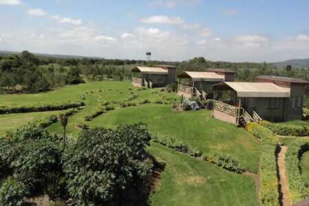 Giraffe Ark Game Lodge