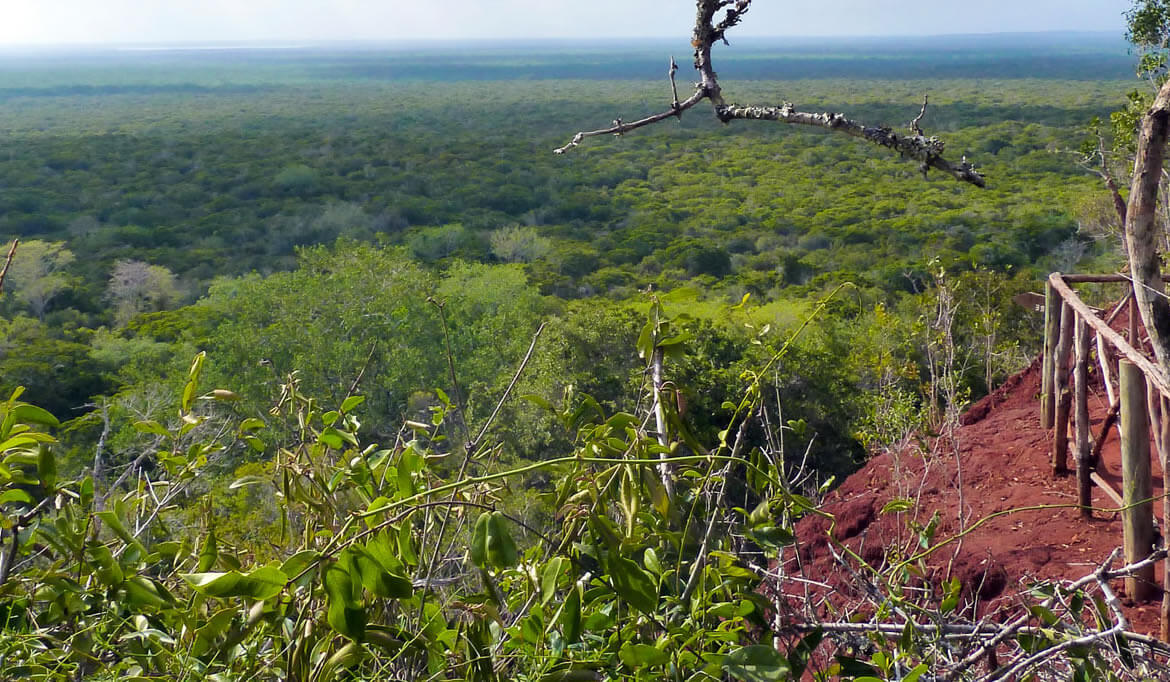 arabuko sokoke national park - 