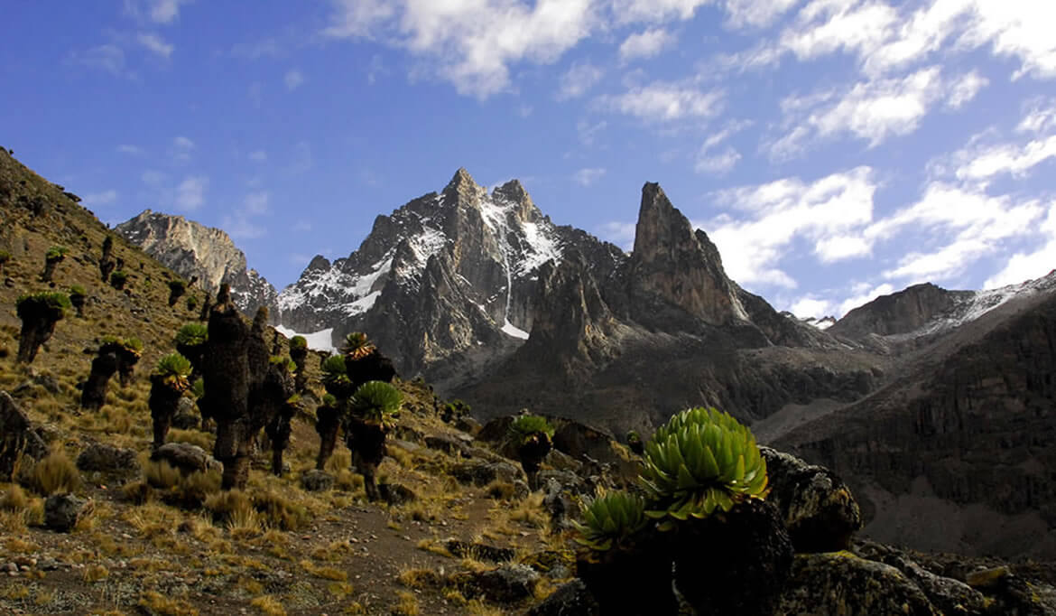 Mt. Kenya National Park