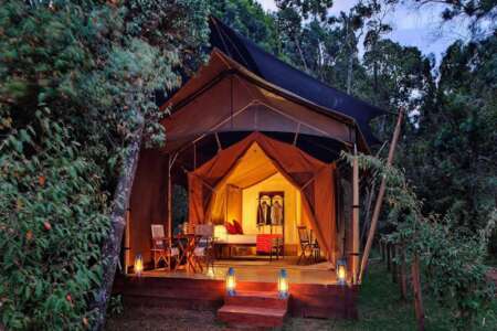 Elephant Pepper Camp