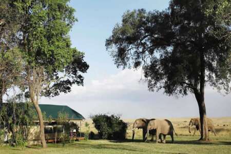 Little Governors Camp