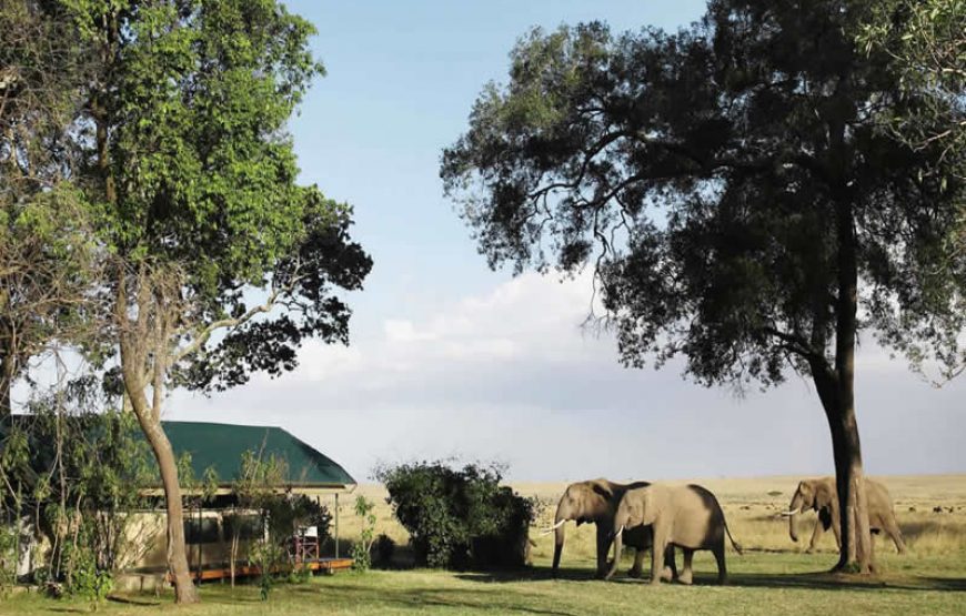 Little Governors Camp