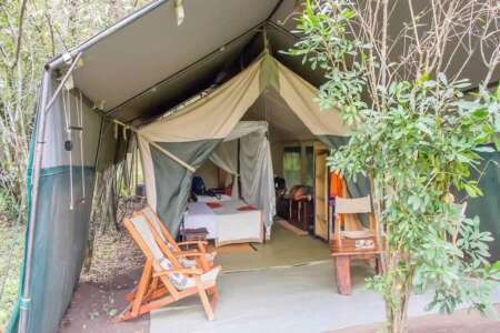 Mara Bush Camp