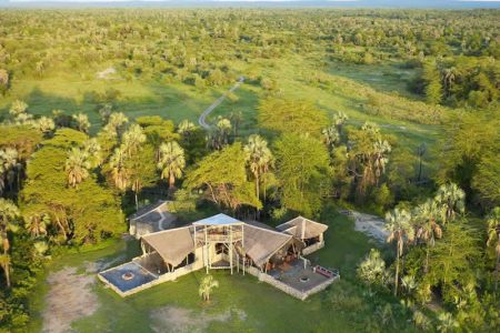 Chem Chem Safari Camp