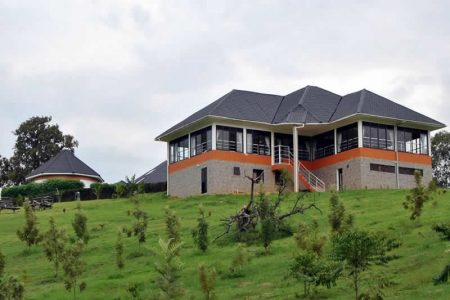 Crested Crane Bwindi