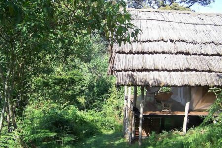 Cuckooland Tented Lodge