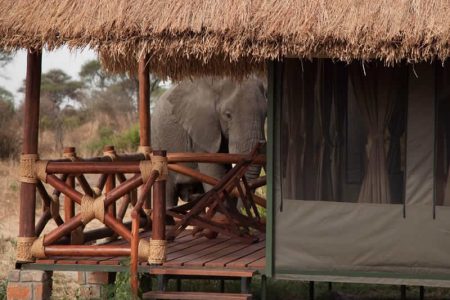 Dikdik Lodge