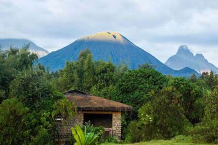 Gorilla Mountain View Lodge