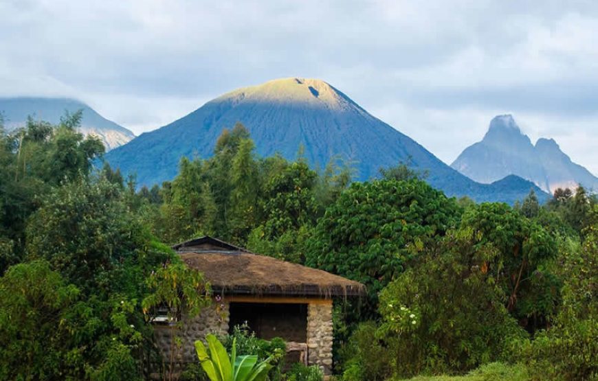Gorilla Mountain View Lodge