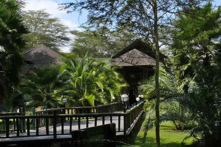 10 days | kenya eco safari - 