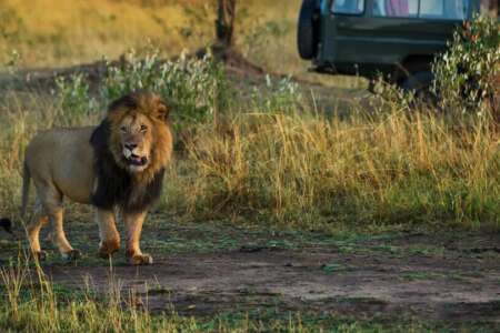 10 days | educational safari - 