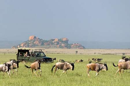 13 days | kenya and tanzania safari - 