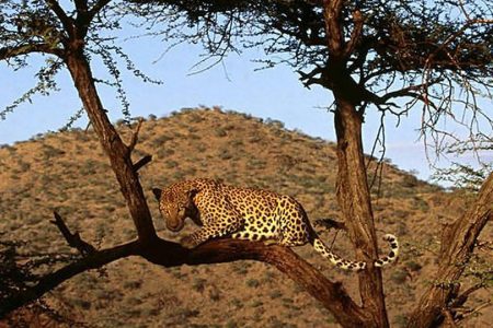 13 days | kenya and uganda safari - 