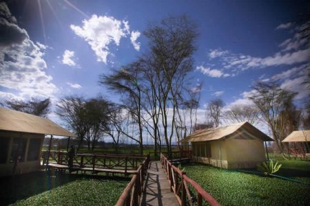 Kiboko Luxury Camp