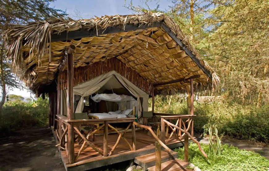 Migunga Forest Lodge