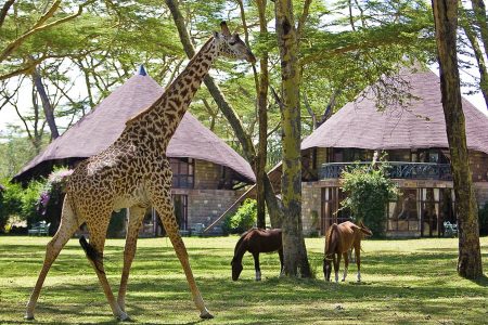 Naivasha Sopa Lodge