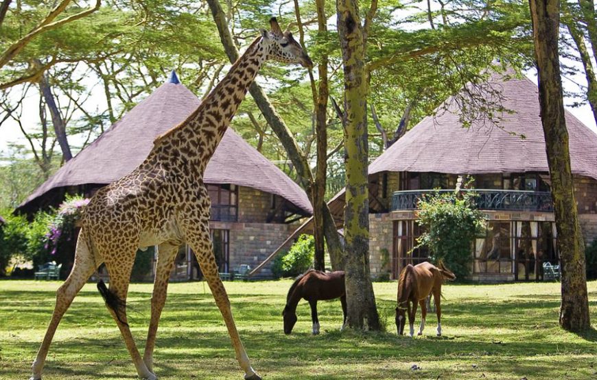 Naivasha Sopa Lodge