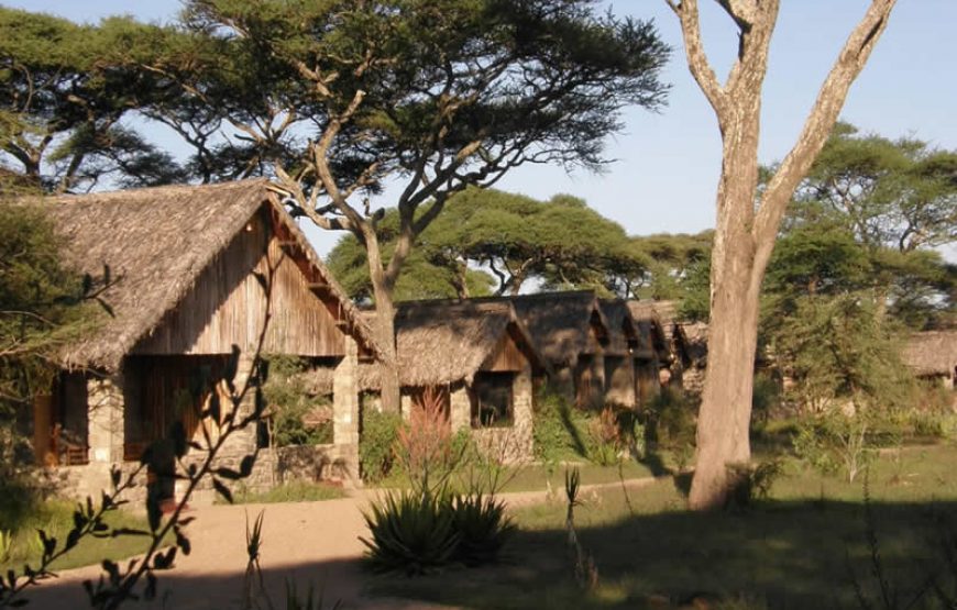 Ndutu Safari Lodge