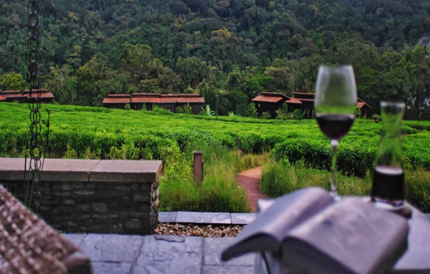 Nyungwe Forest Lodge