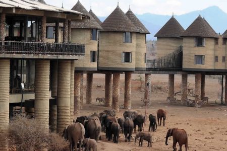 Sarova Salt-Lick Lodge