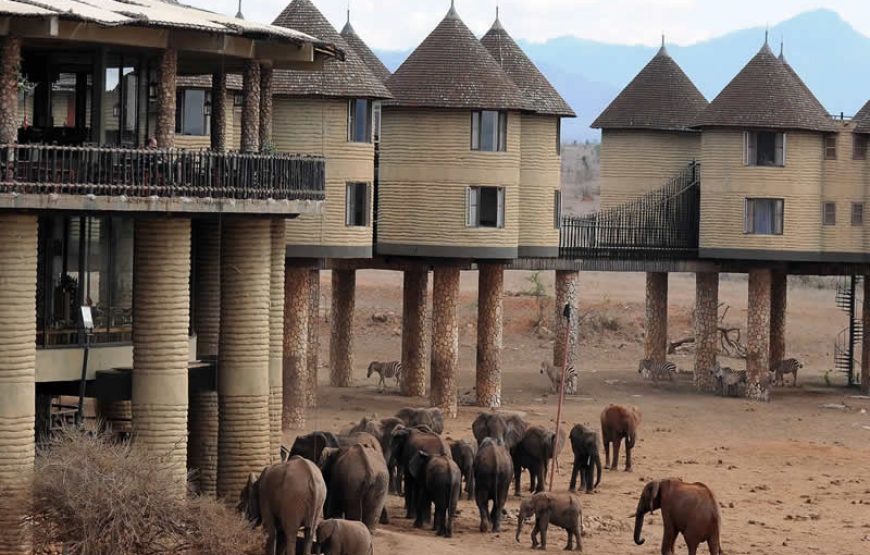 Sarova Salt-Lick Lodge