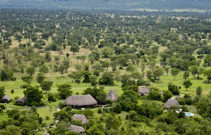 Semliki Safari Lodge