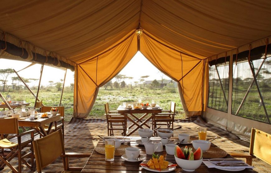 Serengeti Under Canvas