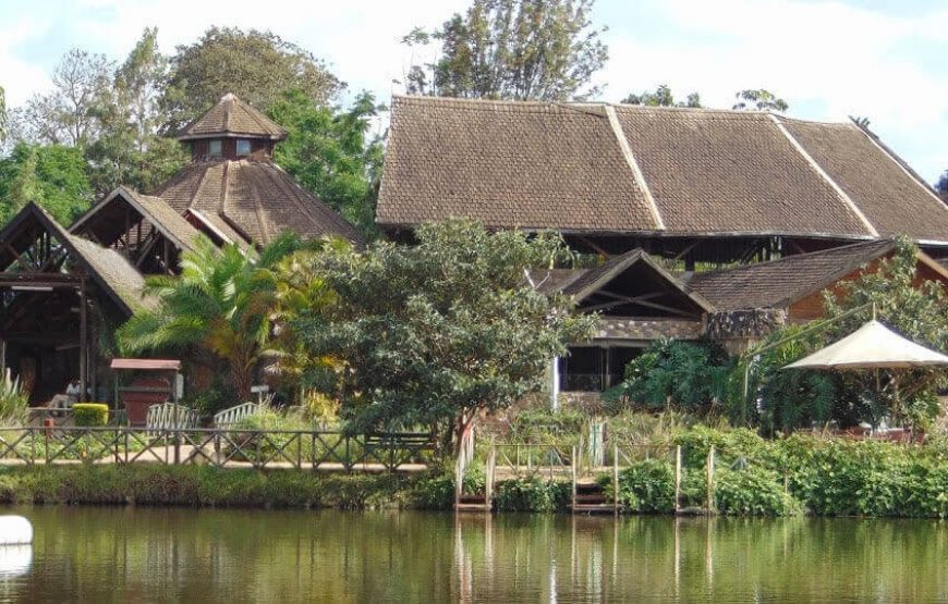 1 Day | The Mamba Village Crocodile