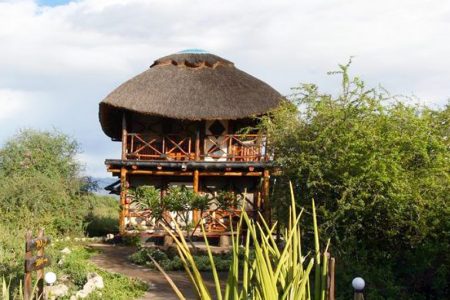Wild Africa Lodge