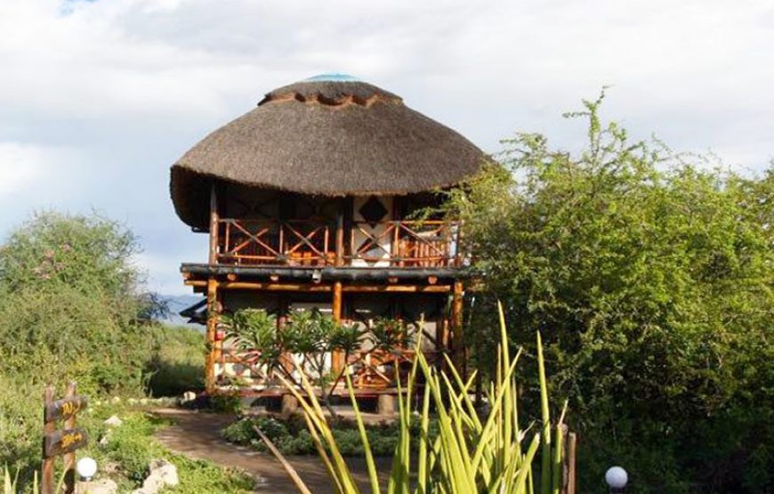 Wild Africa Lodge