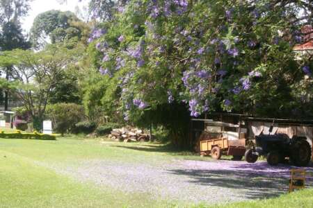 kakamega golf club - 