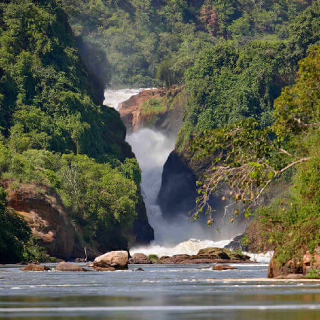 the murchison falls - 