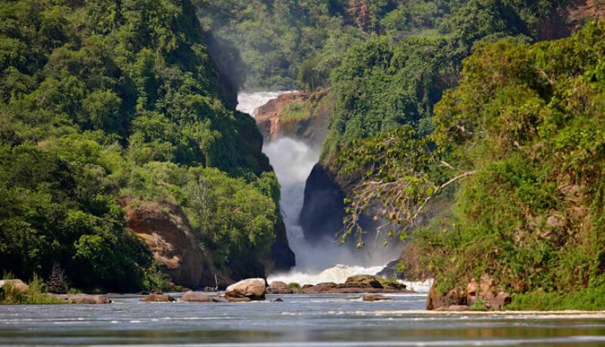 African Safari Tours Company In Kenya | Kenya Safari Tours - Diwaka Tours