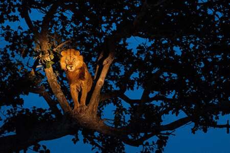 3 days | queen elizabeth park - 