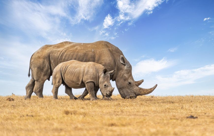 10 Days | Spectacular Kenya