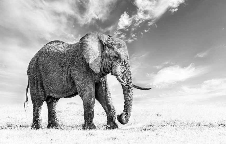 10 Days | Spectacular Kenya