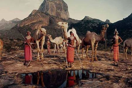 Diwaka Safaris-African Safari Tours | Kenya Safaris & East African Safari Tour Packages