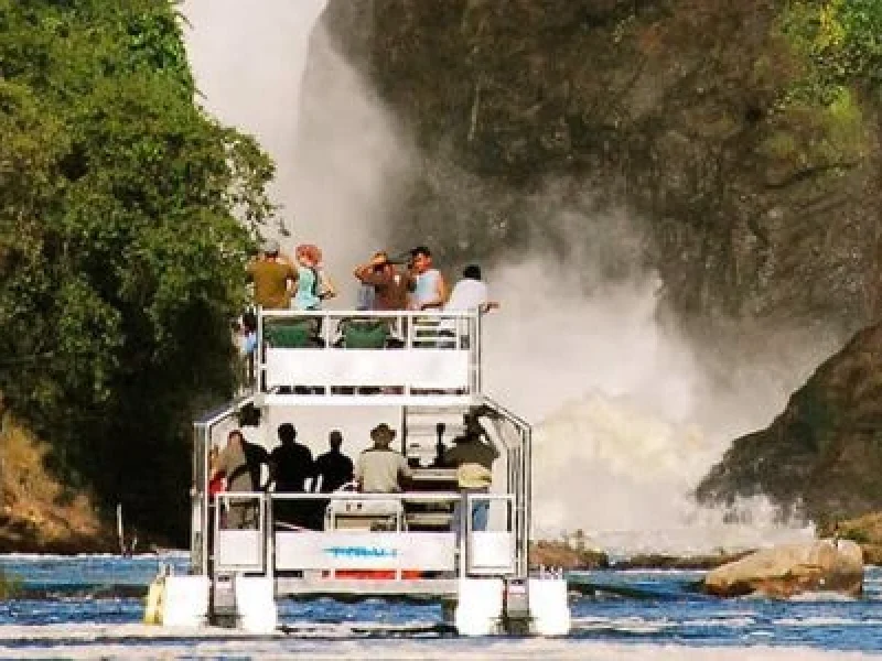 7 jours : Murchison Falls, Kibale, Forest QE et lac Mburo