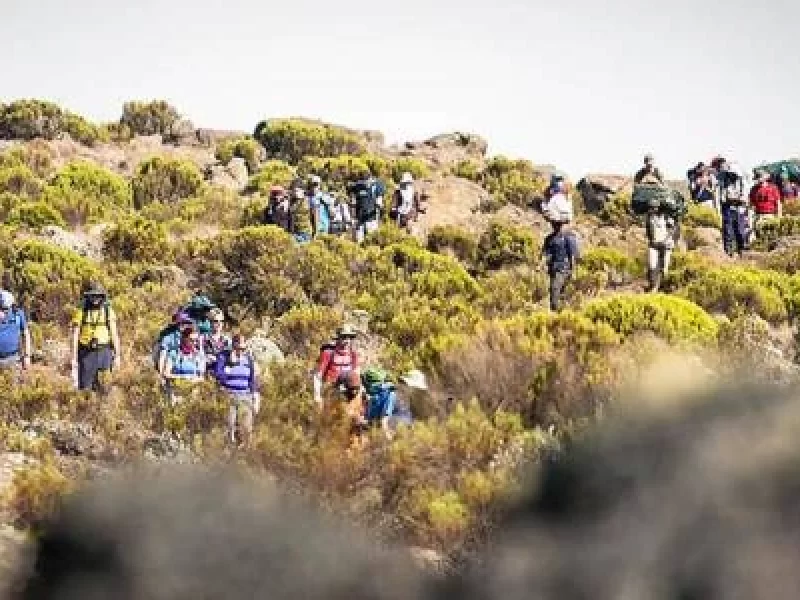 14 Days Mount Kenya Climbing & Safari