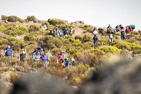 Diwaka Safaris-African Safari Tours | Kenya Safaris & East African Safari Tour Packages
