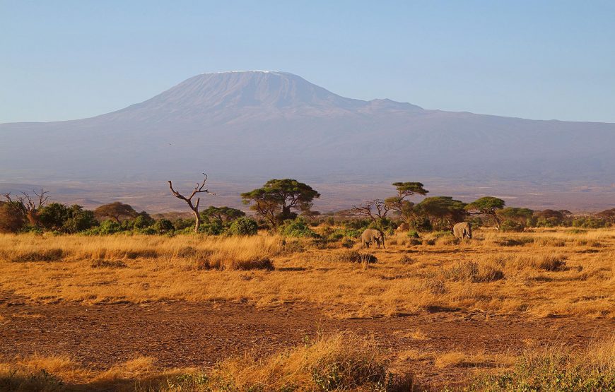 5Days Kenya Wildlife Safari