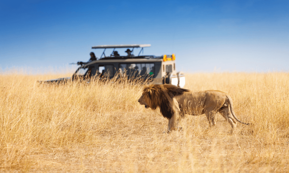Diwaka Safaris-African Safari Tours | Kenya Safaris & East African Safari Tour Packages