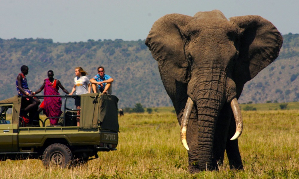 Diwaka Safaris-African Safari Tours | Kenya Safaris & East African Safari Tour Packages