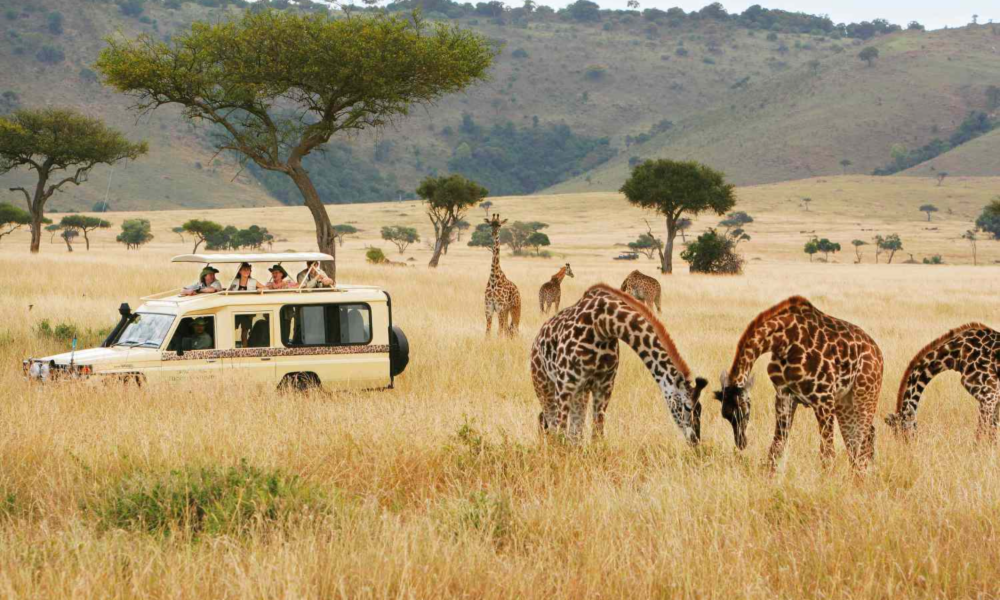 Diwaka Safaris-African Safari Tours | Kenya Safaris & East African Safari Tour Packages