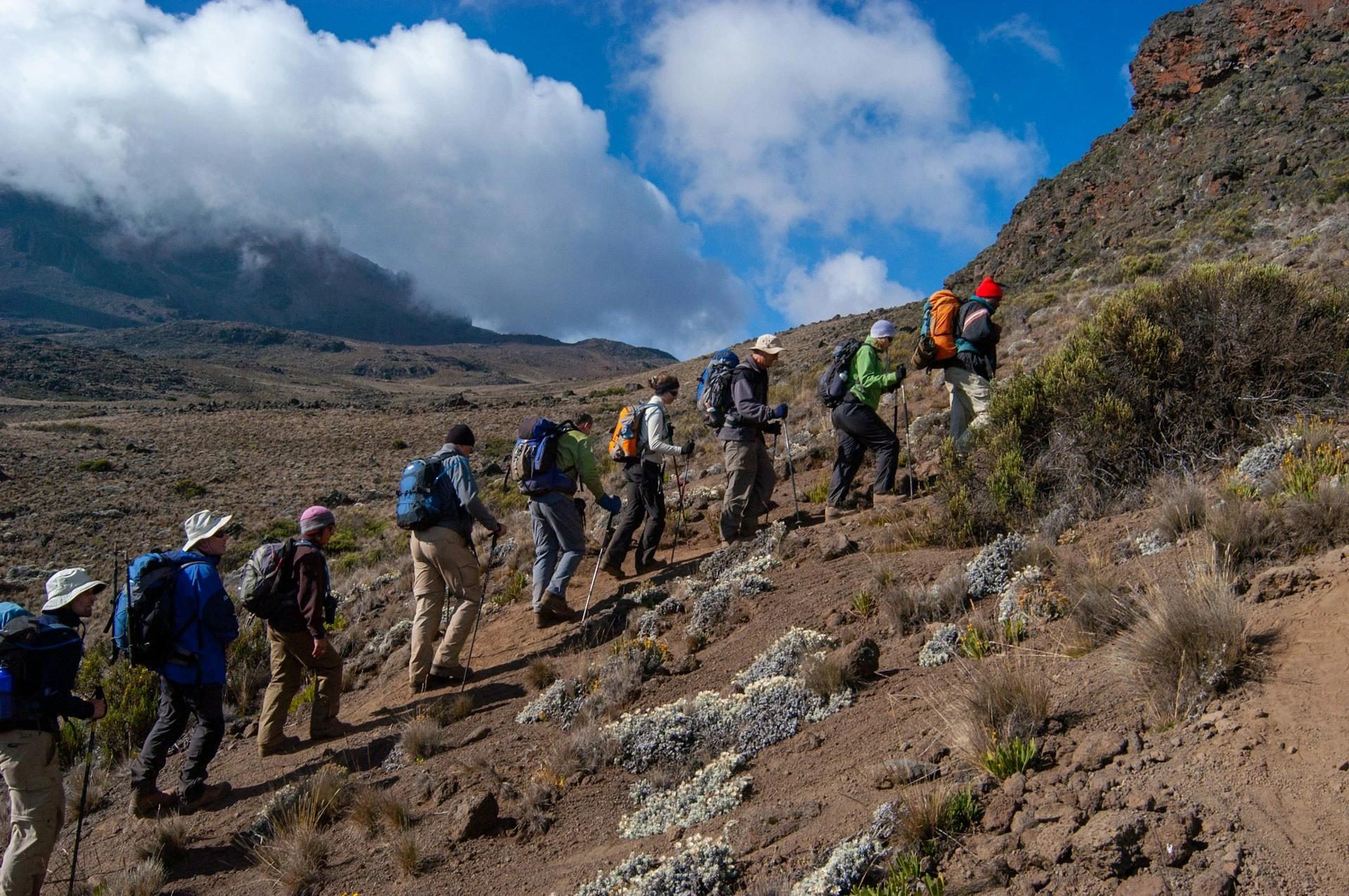 Diwaka Safaris-African Safari Tours | Kenya Safaris & East African Safari Tour Packages
