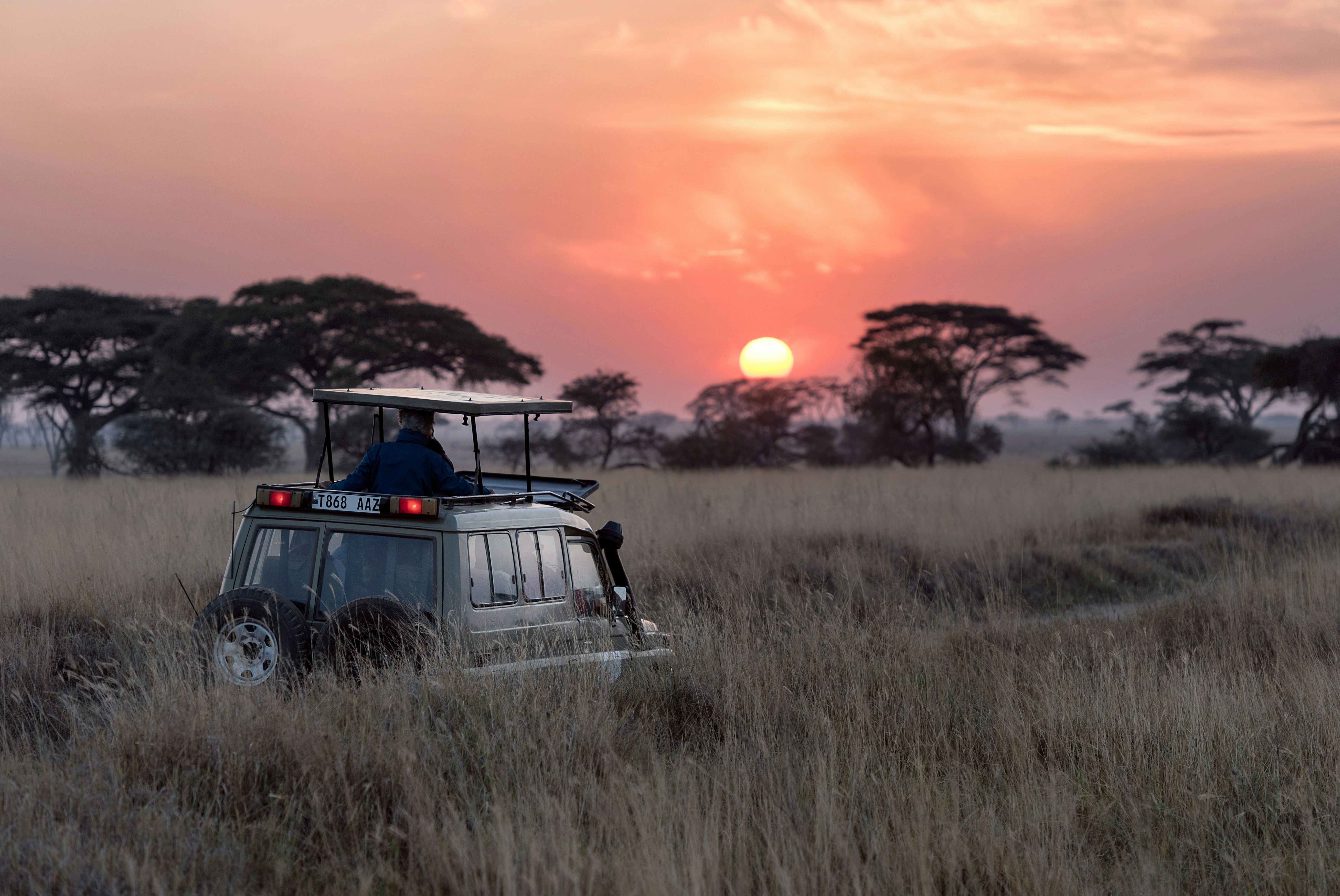 Diwaka Safaris-African Safari Tours | Kenya Safaris & East African Safari Tour Packages