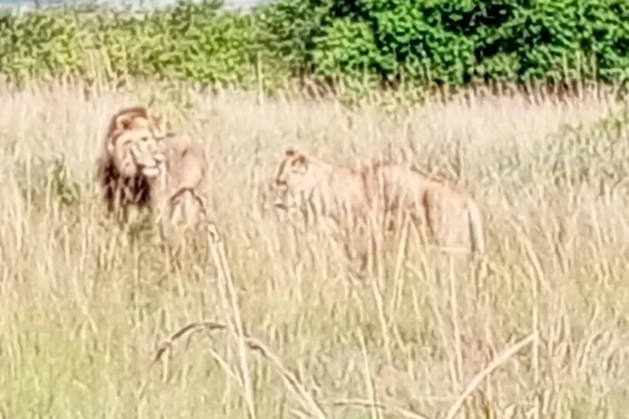 Arusha National Park